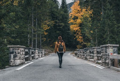 Earth tones photo of female hiker standing in middle of road in forest. Moody tones of beautiful nature with fall colors.