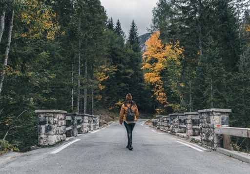 Earth tones photo of female hiker standing in middle of road in forest. Moody tones of beautiful nature with fall colors.