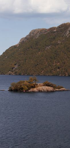 A vertical shot of an islet in the water near the rocky shore on a cloudy day