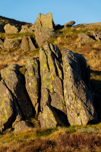 A vertical shot of mossy rocks in a mountainous area