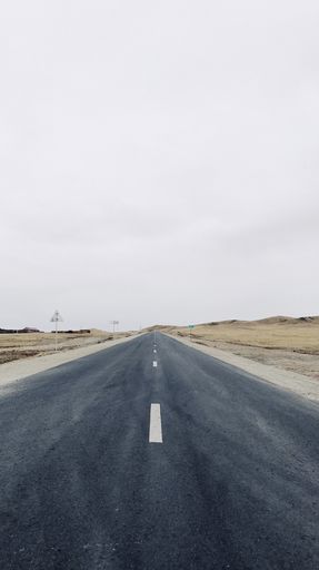 A vertical shot of a narrow road in the middle of field under the clear sky