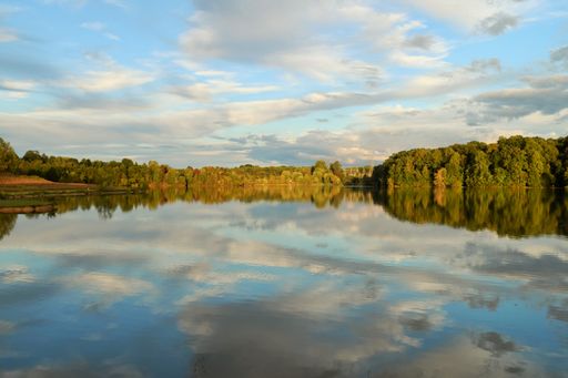 A mesmerizing shot of a lake in a forest reflecting the cloudy skies