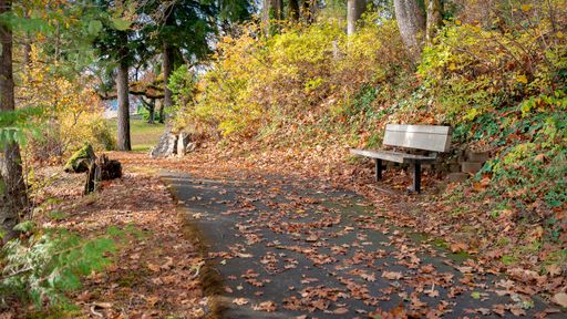 A leaf-covered path with benches and trees, Stevenson Park, United States