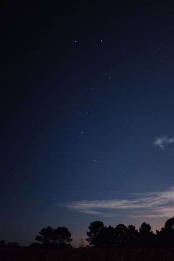 A vertical mesmerizing shot of trees at cloudy starry night