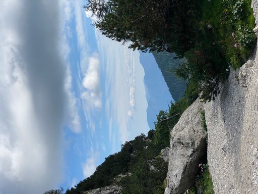 A vertical shot of a scenic view of the trees and mountains in Triglav National Park, Slovenia