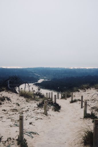A vertical shot of a small path in the dunes under a cloudy gloomy sky
