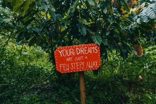 A motivational quote in the plantation field in spring