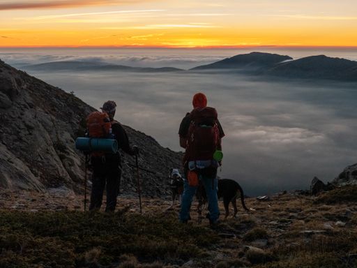 A two Caucasian hikers male standing next to a dog and  on the top of at mountain at sunset