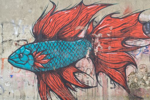 A creative graffiti of a fish on a wall in the village of Sali , Croatia