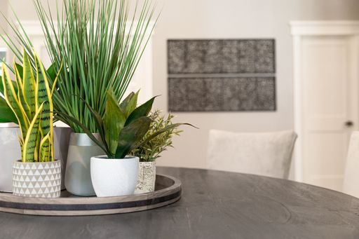 Modern home decor items, including plants and vases atop a dining table, appear inside this sleek modern home.