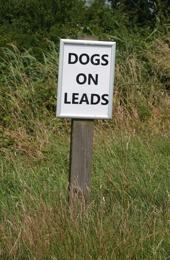 A vertical shot of a warning sign of dogs on leads in a forest