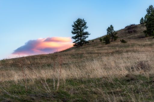 A beautiful shot of colorful purple sunset In Boulder Colorado
