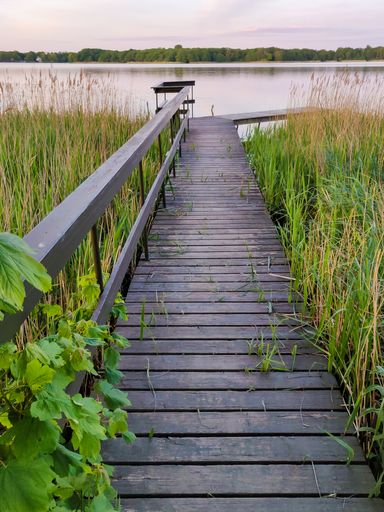 A beautiful view of a pier bridge with a metal net fence on a lake with green trees and a cloudy sky