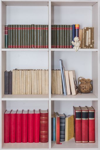 A vertical shot of a bookshelf in a wall filled with literature books and encyclopedias
