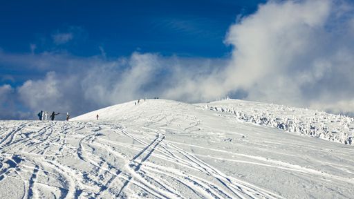 A closeup of a hill covered in snow