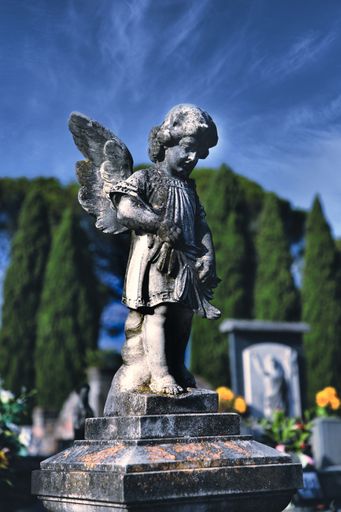 A selective focus high contrast shot of a stone angel statue at a graveyard with tall trees around