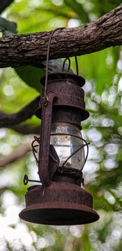 A vertical photo of the antique vintage grungy lamp hung from the tree