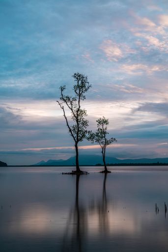 A shot of trees and the reflection on a beach in Kuching with long exposure minimal look