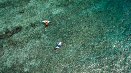 An aerial top view of a male surfer swimming in a tranquil water