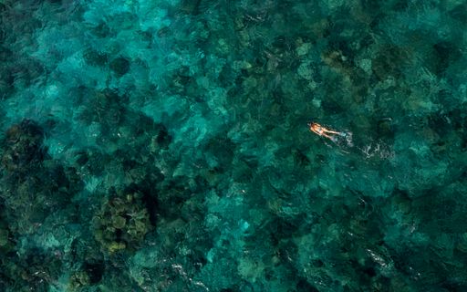 An aerial top view of a female swimming in the transparent clear tranquil water