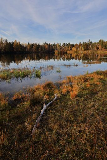 A serene autumn landscape with a tranquil lake and reflections of trees. Moos, Bavaria, Germany.