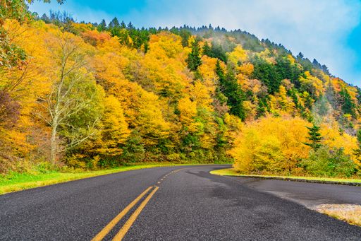 A scenic road curves through vibrant autumn foliage in the Great Smoky Mountains, showcasing bright yellows and greens under a clear sky.