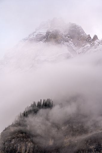 A vertical shot of rocky hills covered in forests and fog in Canada