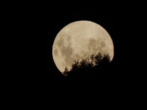 A beautiful shot of the full moon at night