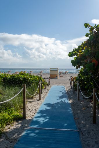 A serene beach path with a blue walkway leading to the ocean under a bright sky, surrounded by greenery.