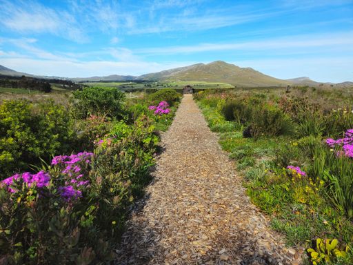 A scenic pathway lined with vibrant flowers leading towards distant hills under a clear blue sky.
