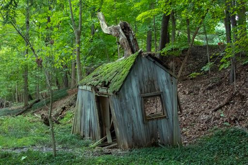 An abandoned broken barn in the forest