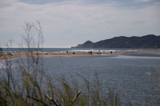A coastal lagoon with driftwood scattered on a sandy beach.