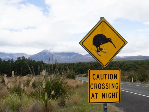 Kiwi crossing sign on a rural road in New Zealand with mountains and greenery in the background under a cloudy sky.