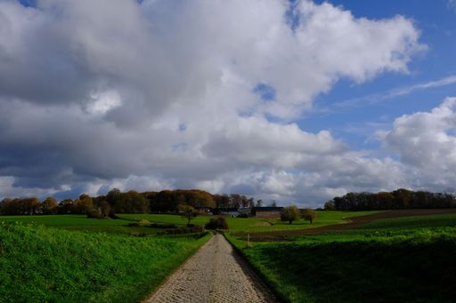 A scenic rural landscape with a cobblestone path leading through green fields under a dramatic cloudy sky.