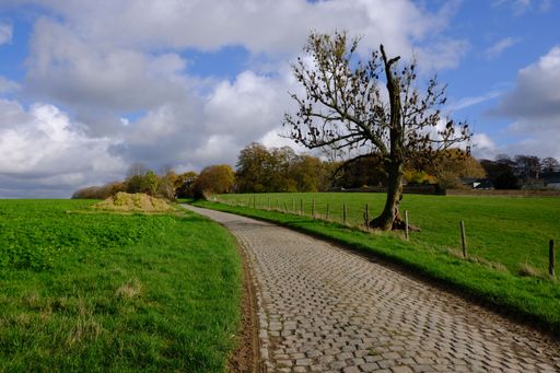 A scenic rural cobblestone road lined with a solitary tree and green fields under a partly cloudy sky.