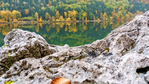 Close-up of rocky foreground with autumn trees reflecting in a calm lake, showcasing natural beauty and tranquility.