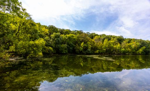 A beautiful view of the reflective clear lake Carver surrounded by dense green trees in Minnesota