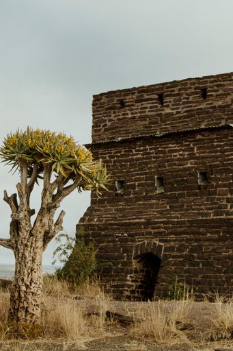 A beautiful view of an old building and a tree in the field