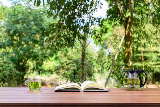 A notebook and office atmosphere with green background in the park