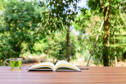 A notebook and office atmosphere with green background in the park