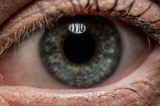 A close up shot of blue eye of a Caucasian person