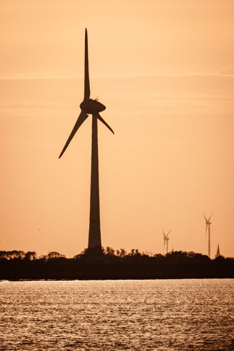 A vertical shot of wind turbines silhouettes