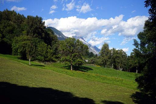 A mesmerizing view of mountains over the green field with dense trees against a cloudy sky