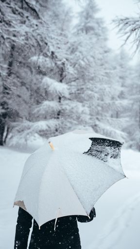 A vertical selective closeup shot of a person holding an umbrella near trees covered in snow