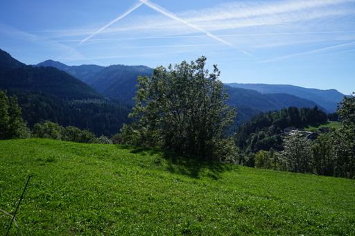 A mesmerizing landscape view with dense trees and bushes against a blue sky on a sunny day