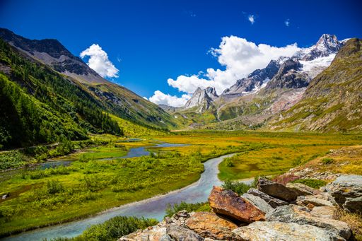 A beautiful shot of the snowy Alps against a blue cloudy sky surrounded by greenery on a sunny day