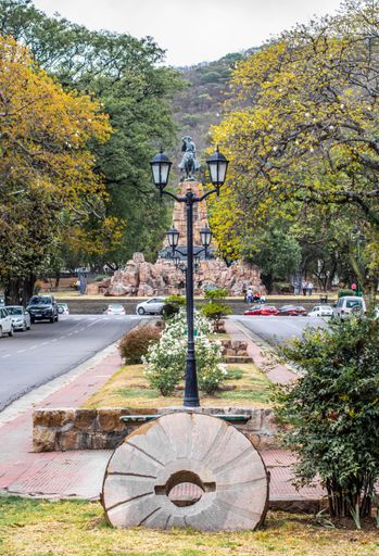 A vertical shot of the street with green trees. Salta, Argentina.
