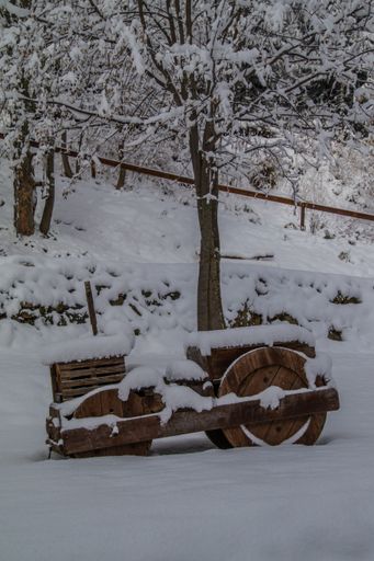 A beautiful shot of an equipment in a forest covered in snow