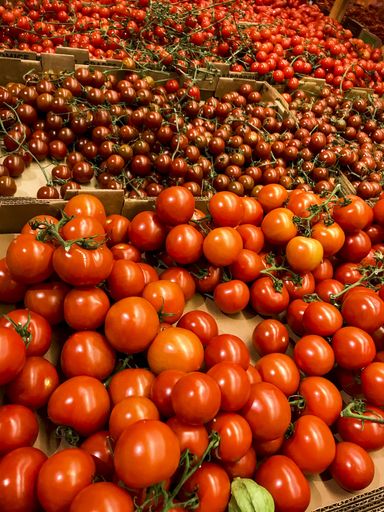 A beautiful shot of the fresh and juicy tomatoes in the boxes