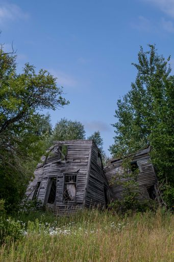 A vertical shot of an abandoned wooden house in a forest